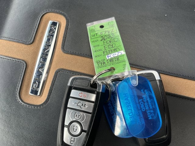 2023 Ford F-150 PLATNM