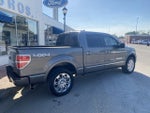 2013 Ford F-150 PLATINUM.